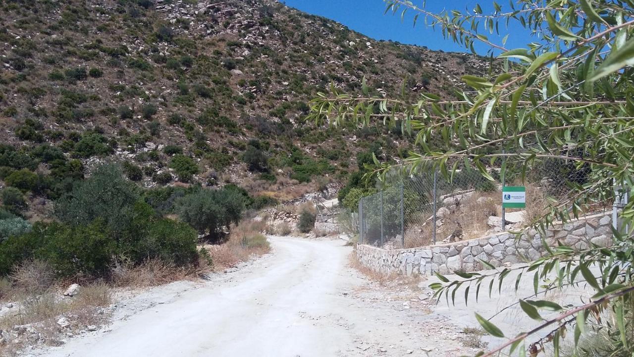 Bed & Breakfast Alegria Y Luna Bed & Breakfast Sorbas Exterior photo