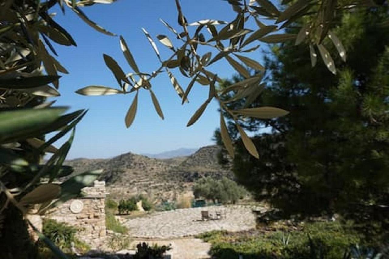 Bed & Breakfast Alegria Y Luna Bed & Breakfast Sorbas Exterior photo