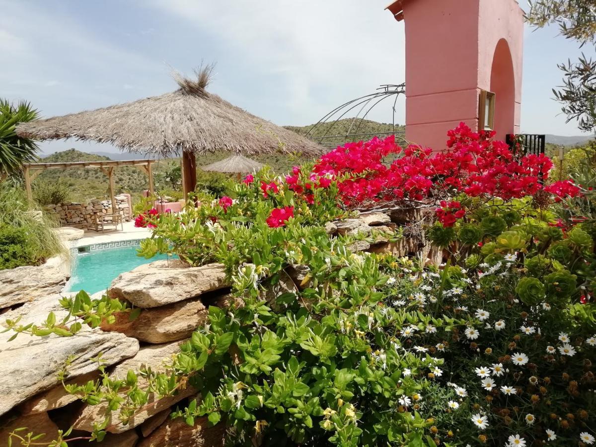 Bed & Breakfast Alegria Y Luna Bed & Breakfast Sorbas Exterior photo