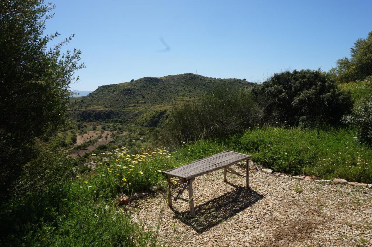 Bed & Breakfast Alegria Y Luna Bed & Breakfast Sorbas Exterior photo